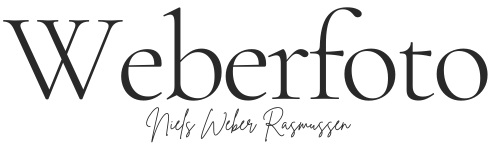 Weberfoto_LOGO_header